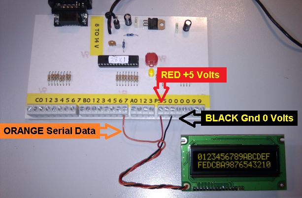 OLED-16x2.jpg